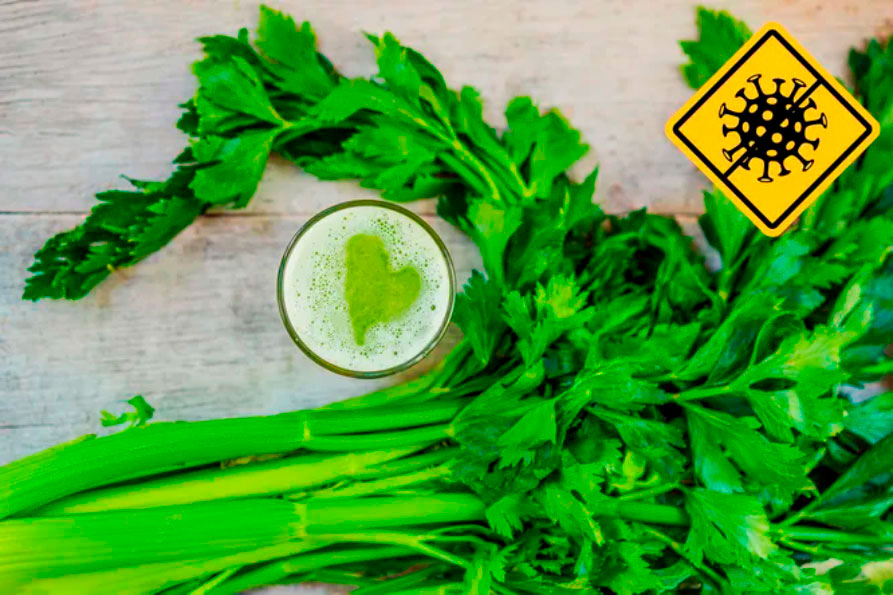 Сельдерей — новый имбирь: 10 продуктов для поддержания иммунитета